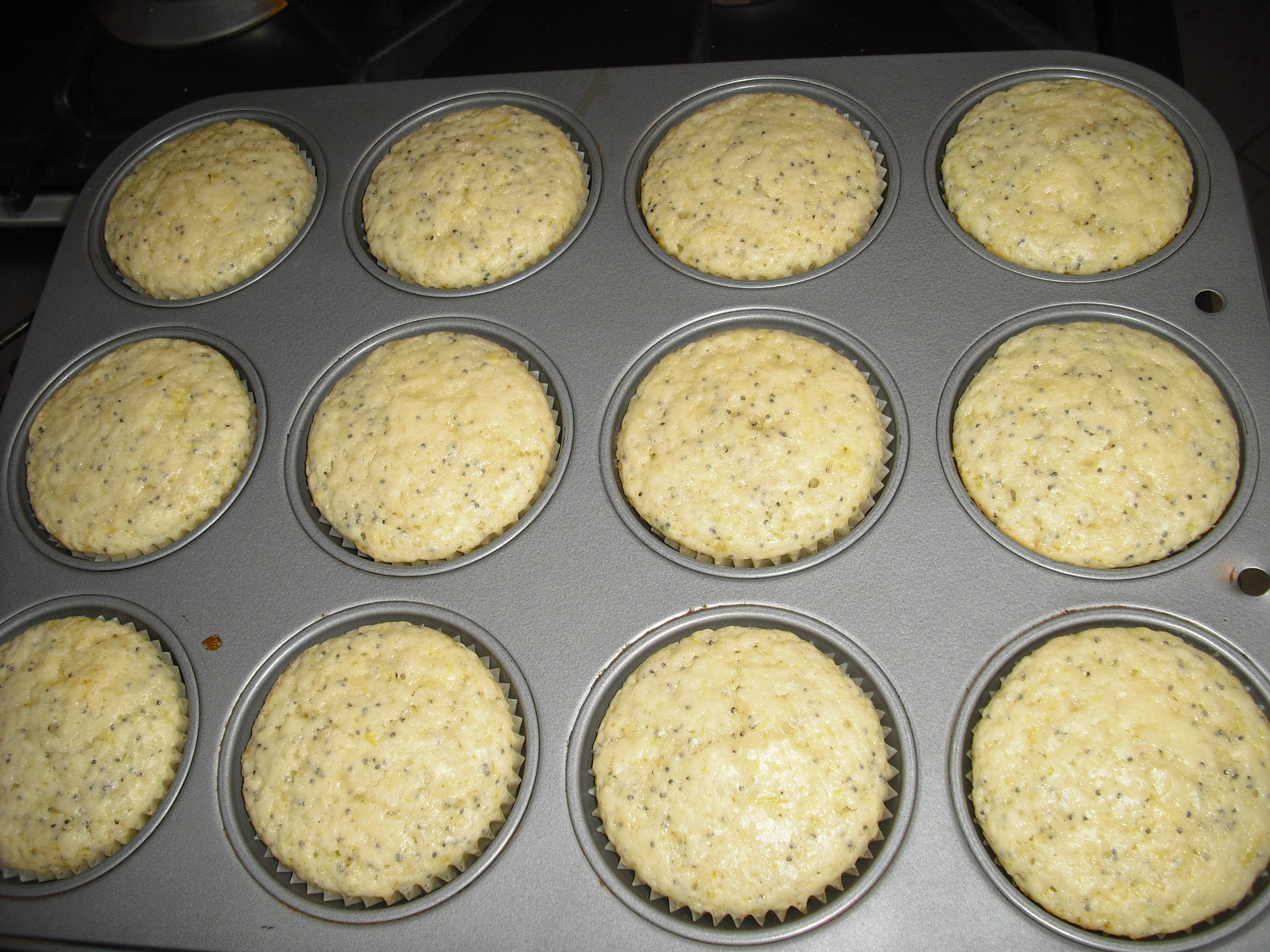 muffins al limone 4