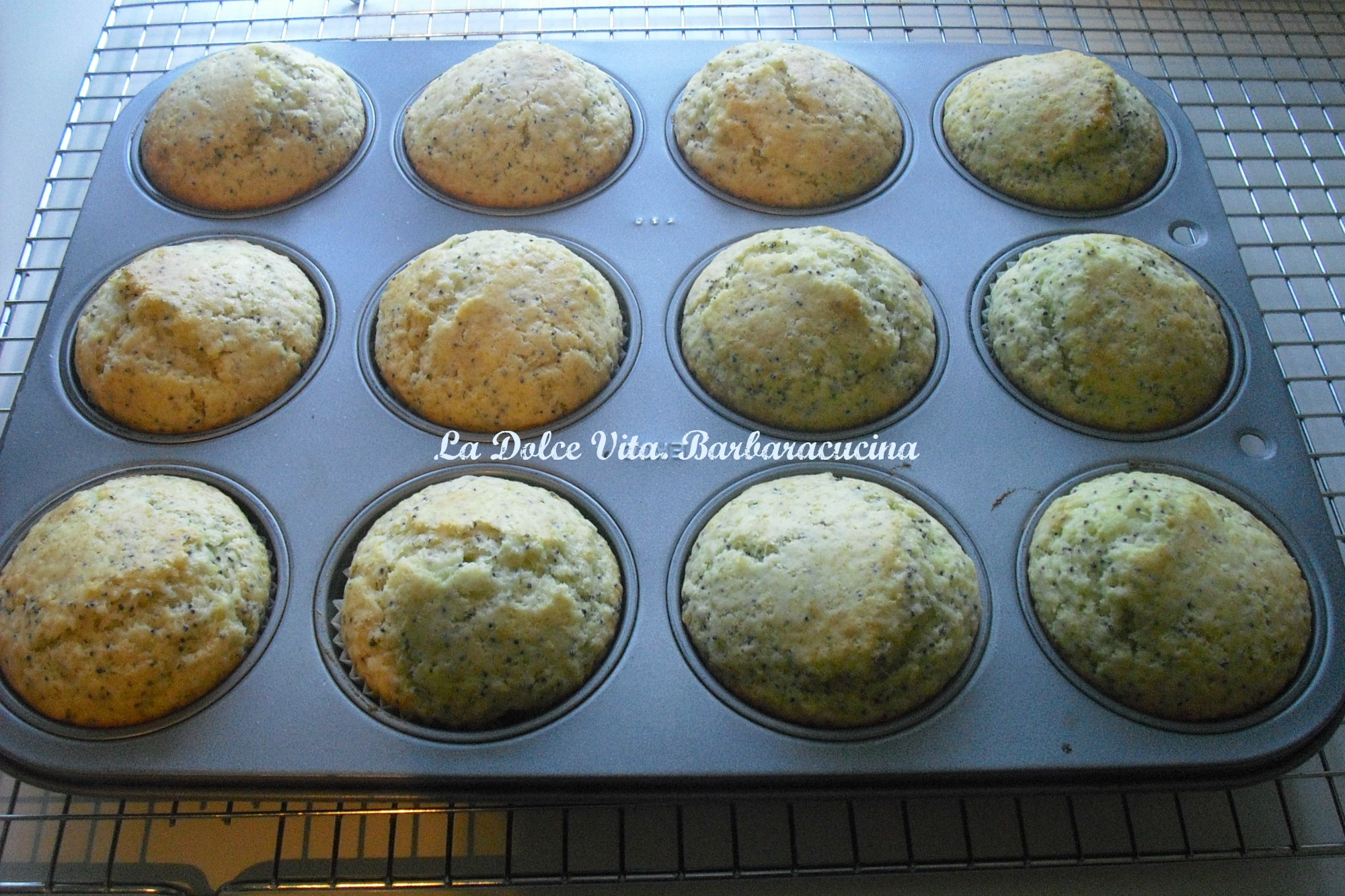 muffins al limone 2