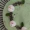 Cheesecake alla menta e cioccolato