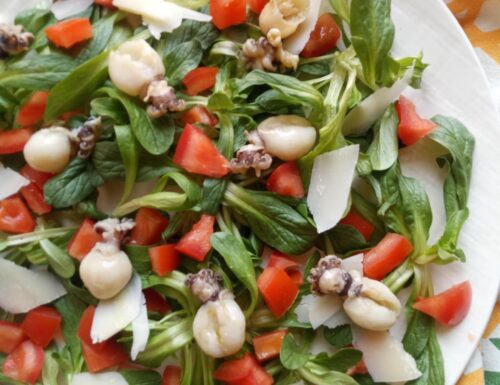 Insalata con Soncino seppioline e grana