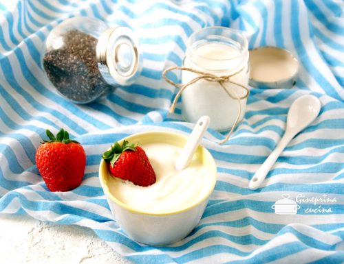 yogurt e kefir una sana passione