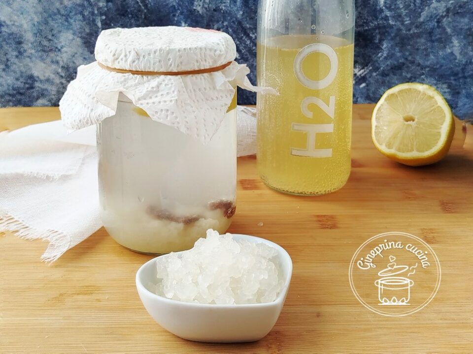 kefir d'acqua
