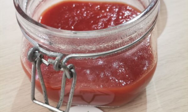 Salsa Ketchup con il Bimby