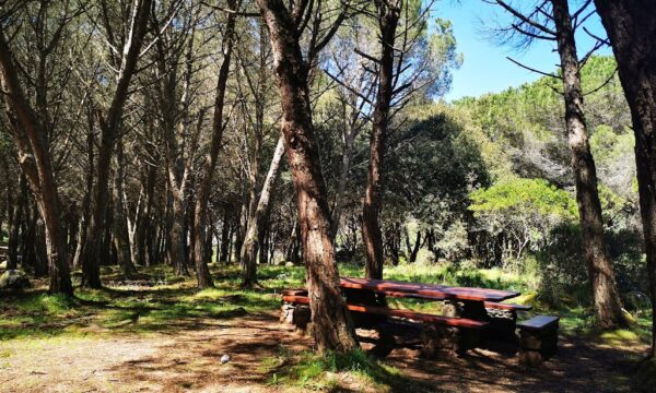 Is Benas: un bosco perfetto dove fare picnic