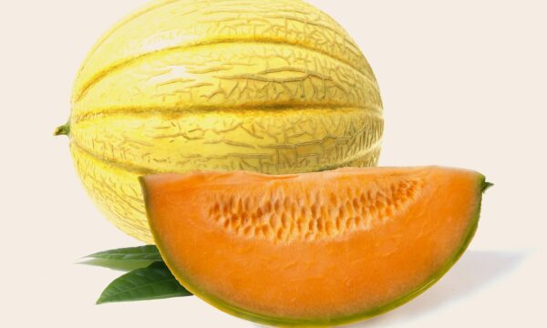 Melone: tipologie e proprietà