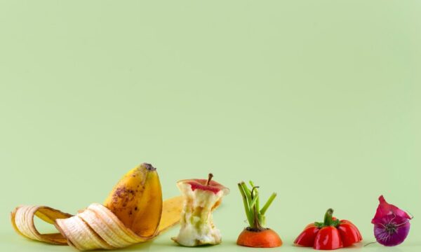 Spreco alimentare: una sfida globale da affrontare insieme