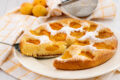 Focaccia dolce alle albicocche senza uova e lattosio