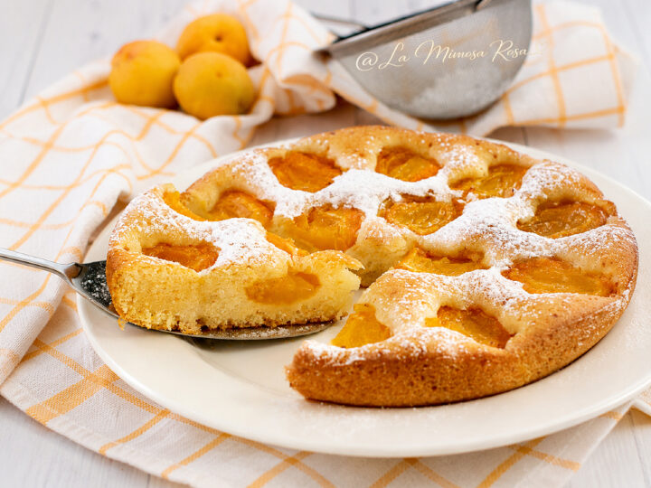 Focaccia dolce alle albicocche senza uova e lattosio