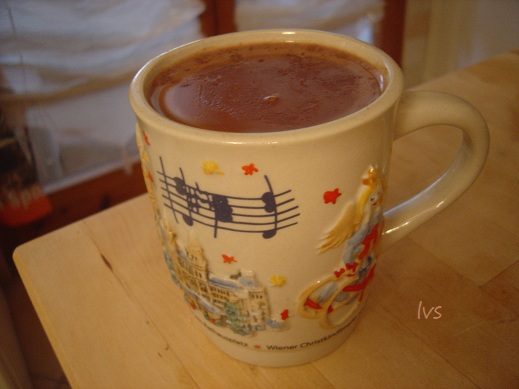 Cioccolato in tazza speziato
