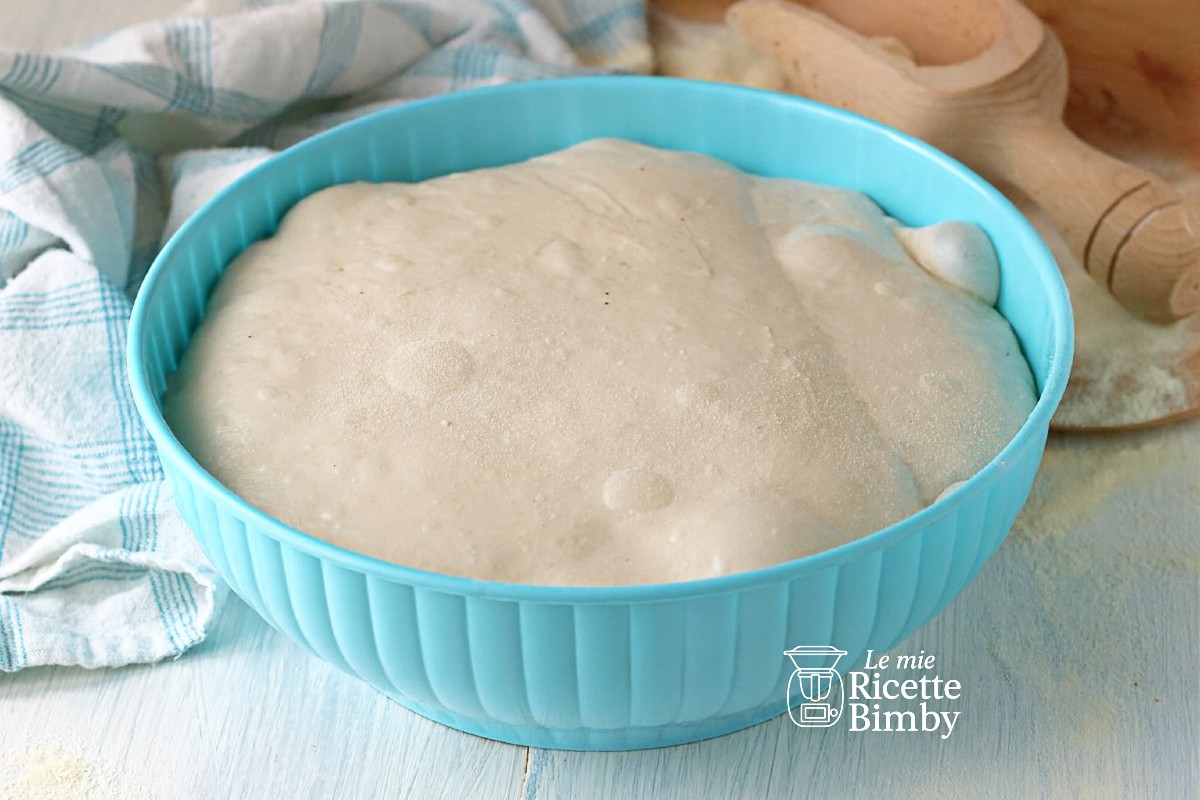 IMPASTO BONCI BIMBY
