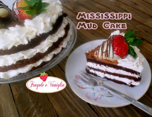 Mississippi Mud Cake