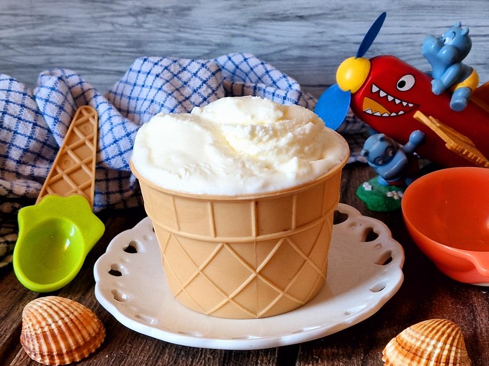 GELATO FIOR DI LATTE BIMBY TM7