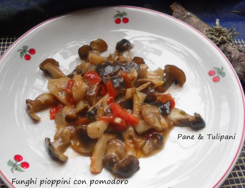 Funghi pioppini con pomodoro e aromi