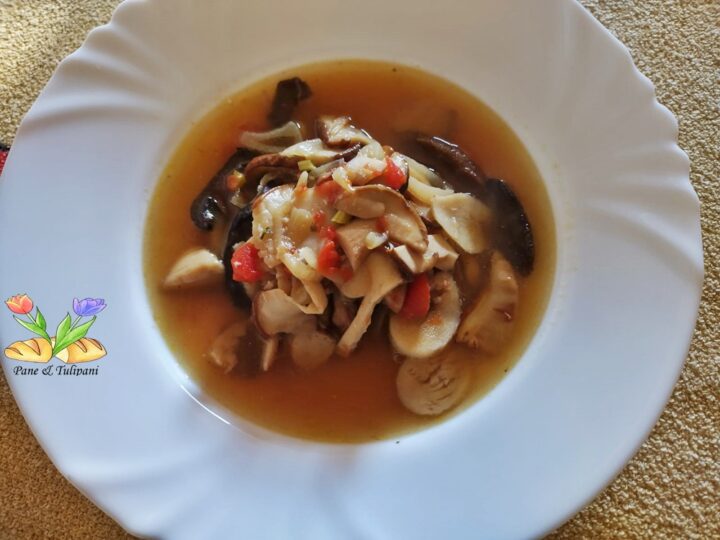 zuppa di boletus badius con porcini secchi