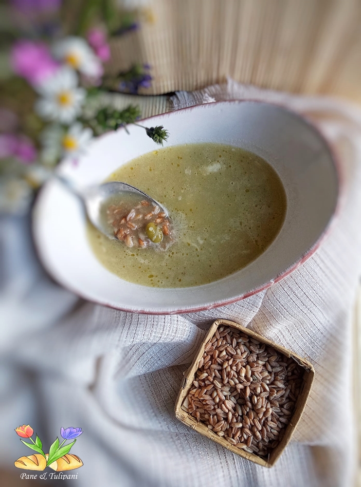 minestra di farro perlato con fave