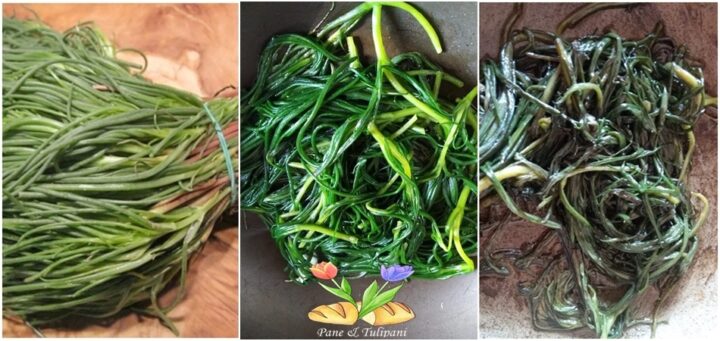 frittelle di agretti in pastelle diverse