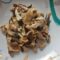 Pleurotus trifolati