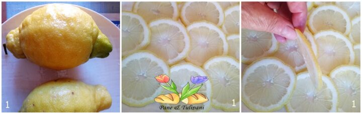carpaccio di limoni