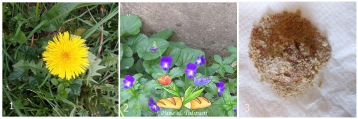 biscotti con zucchero in fiore e cannella