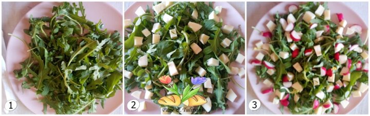 rucola in insalata con semi proteici